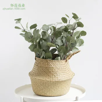 INS Decorative Northern European-Style Really Artificial Flower Preservation Eucalyptus Leaves Dried Flower Kapok Dried Flowers
INS Decorative Northern European-Style Really Artificial Flower Preservation Eucalyptus Leaves Dried Flower Kapok Dried Flowers