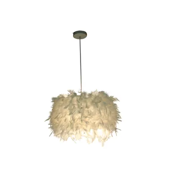 Personality Dining Room Bedroom Feather Chandelier Nordic Small Chandelier 30Cm 5W
Personality Dining Room Bedroom Feather Chandelier Nordic Small Chandelier 30Cm 5W