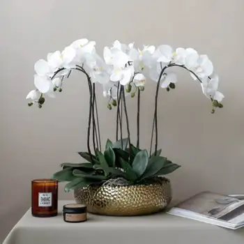 WICCA 1Pc real touch phalaenopsis leaf & orchid artificial flowers decorative flowers material flower decoration Orchid leaves
WICCA 1Pc real touch phalaenopsis leaf & orchid artificial flowers decorative flowers material flower decoration Orchid leaves