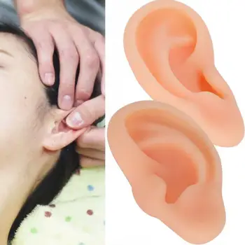 Professional Simulated Ear Model Acupuncture Practice Massage Teaching Tool Accessory for Medical Training Display
Professional Simulated Ear Model Acupuncture Practice Massage Teaching Tool Accessory for Medical Training Display