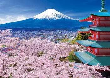 New Assemble Sakura Mount Fuji 500 Pieces Japan Imported Jigsaw Puzzle Toys
New Assemble Sakura Mount Fuji 500 Pieces Japan Imported Jigsaw Puzzle Toys