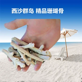 Aquarium Filter Coral Shell for freshwater seawater,Natural Reef Coral Bone Sand Biocycle Filter Medium to nitrify bacteria
Aquarium Filter Coral Shell for freshwater seawater,Natural Reef Coral Bone Sand Biocycle Filter Medium to nitrify bacteria