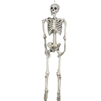 165cm 185cm Movable Skull Simulation Human Skull Model Full Body Mini Figure Toy Halloween Gift Prop
165cm 185cm Movable Skull Simulation Human Skull Model Full Body Mini Figure Toy Halloween Gift Prop