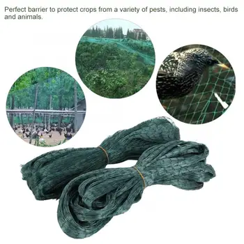 Anti Bird Netting Pond Green Net Protect Tree Crops Plant Fruit Flower Garden Mesh Bird for Catching Birds
Anti Bird Netting Pond Green Net Protect Tree Crops Plant Fruit Flower Garden Mesh Bird for Catching Birds