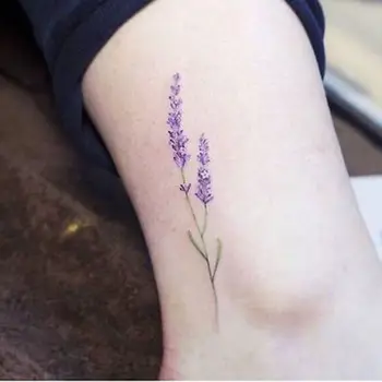 4PCS New Fashion Body Art Flower Waterproof Temporary Tattoo Sticker Lotus Lavender Tatto For Women Hot Sale
4PCS New Fashion Body Art Flower Waterproof Temporary Tattoo Sticker Lotus Lavender Tatto For Women Hot Sale