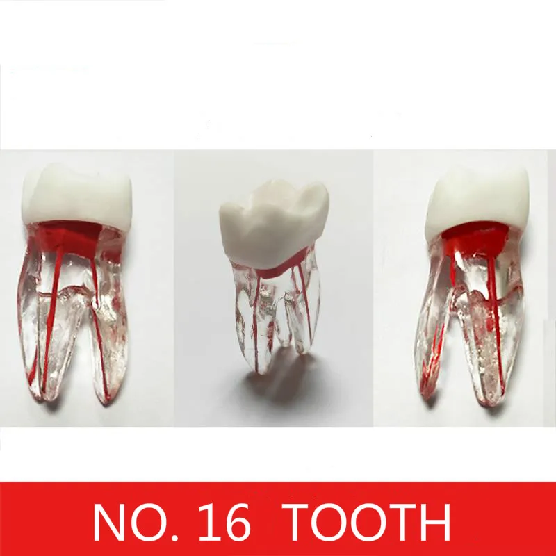 Стоматологические материалы корневой канал зубная лента смола пропитанные зубы