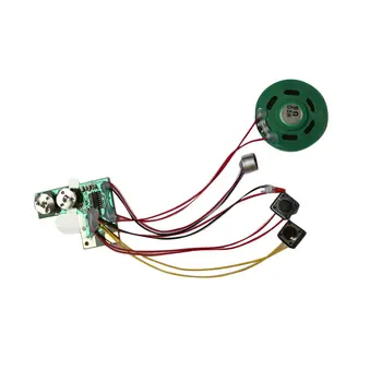 Kid Adult Sound Recordable Voice Module For Greeting Card Music Sound Talk Chip Musical Christmas Gift
Kid Adult Sound Recordable Voice Module For Greeting Card Music Sound Talk Chip Musical Christmas Gift