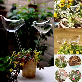 Free Shipping 2020 New Arrival Glass Bird Watering Device Automatic Watering Flower 4PC Trumpet Park Tools Drop Shipping
Free Shipping 2020 New Arrival Glass Bird Watering Device Automatic Watering Flower 4PC Trumpet Park Tools Drop Shipping