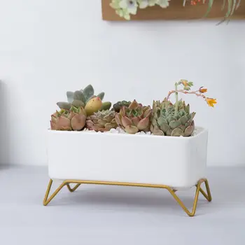 Rectangular Flowerpot Ceramic Iron Base Planter Delicate Flower Pot Creative Succulent Plant Pot For Home Garden Office Shop
Rectangular Flowerpot Ceramic Iron Base Planter Delicate Flower Pot Creative Succulent Plant Pot For Home Garden Office Shop