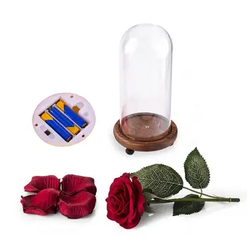 Led Creative Romantic Holiday Gift Rose Lamp Eternal Flower Light Glass Cover Home Desktop Bedroom Decoration Night Light
Led Creative Romantic Holiday Gift Rose Lamp Eternal Flower Light Glass Cover Home Desktop Bedroom Decoration Night Light