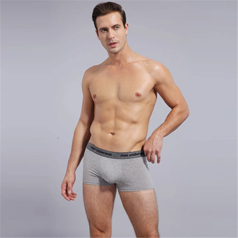 1Pcs Underwear Brand Mesh Mens Boxers Cotton Underpants Breathable Boxer Shorts Men Panties Sexy Male Underwears cueca
1Pcs Underwear Brand Mesh Mens Boxers Cotton Underpants Breathable Boxer Shorts Men Panties Sexy Male Underwears cueca