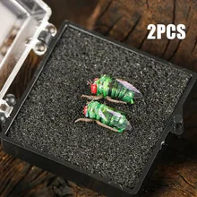 2pcs/box Fishing Lure Bionic Insects Flies Super-sharp Fly Hook Artificial Fishing Lures Insects Baits Lure Set Green Fly
2pcs/box Fishing Lure Bionic Insects Flies Super-sharp Fly Hook Artificial Fishing Lures Insects Baits Lure Set Green Fly
