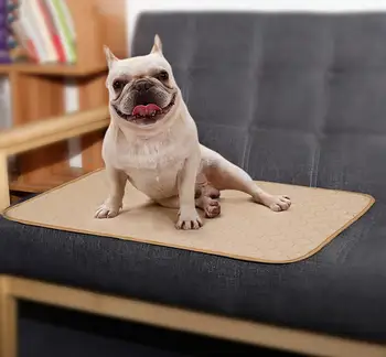 Water Absorbency Diaper Sleeping Mat for Puppy Kitten Rabbit Anti-Slip Reusable Washable Dog Training Pee Pad dog mat
Water Absorbency Diaper Sleeping Mat for Puppy Kitten Rabbit Anti-Slip Reusable Washable Dog Training Pee Pad dog mat