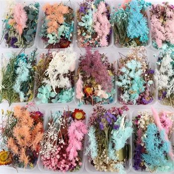 New 1 Box Real Dried Flower Dry Plants Natural Immortal Flower Photo Frame Making Craft DIY Accessories Home DIY Decoration HOT
New 1 Box Real Dried Flower Dry Plants Natural Immortal Flower Photo Frame Making Craft DIY Accessories Home DIY Decoration HOT