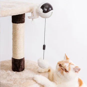 Interactive Cat Ball Toy Electronic Motion Cats Teaser Yo-Yo Lifting Electric Flutter Rotating Interactive Puzzle Pet Automatic
Interactive Cat Ball Toy Electronic Motion Cats Teaser Yo-Yo Lifting Electric Flutter Rotating Interactive Puzzle Pet Automatic