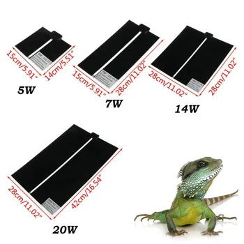 1pc Reptile Vivarium Heat Mat Heating Warm Heater Pad with Thermostat Controller Heated Pad Aquarium Thermometer Reptile Lamp 
1pc Reptile Vivarium Heat Mat Heating Warm Heater Pad with Thermostat Controller Heated Pad Aquarium Thermometer Reptile Lamp