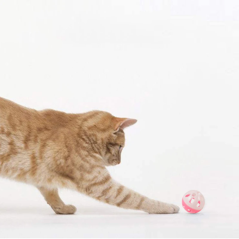 Funny Toys for Cats Ball with Bell Ring Playing Chew Rattle Scratch Plastic Ball Interactive Cat Training Toys Pet Cat Supply