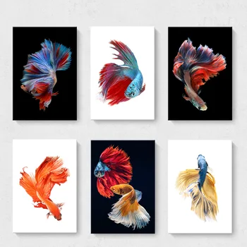 Decorative Painting Betta Colorful Tropical Fish Canvas Painting Hotel Oil Painting Goldfish Animal Print Watercolor Style
Decorative Painting Betta Colorful Tropical Fish Canvas Painting Hotel Oil Painting Goldfish Animal Print Watercolor Style