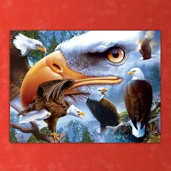 Eagle DIY 5D Full Drill Diamond Painting Embroidery Cross Stitch Kit Rhinestone Home Decor Craft Q6PE
Eagle DIY 5D Full Drill Diamond Painting Embroidery Cross Stitch Kit Rhinestone Home Decor Craft Q6PE