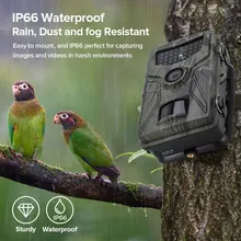 Hunting Trail Camera 20mp 1080p HD Wildlife Tracking 0.5s Trigger Speed Wildlife Night Vision Motion Activated Hunting Camera
Hunting Trail Camera 20mp 1080p HD Wildlife Tracking 0.5s Trigger Speed Wildlife Night Vision Motion Activated Hunting Camera
