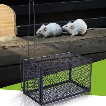 2019 Professional Efficient And Safe Non-Toxic Mouse Cage Thickened Rodent Trap Rat Box Mousetrap Animal Cage Practical Home
2019 Professional Efficient And Safe Non-Toxic Mouse Cage Thickened Rodent Trap Rat Box Mousetrap Animal Cage Practical Home