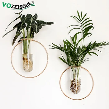 Nordic Iron Rack Vase Wall Mounted Flower Pots Glass Pot Plant Transparent Flower Pot Metal Flower Stands Hydroponic Orchid Pot
Nordic Iron Rack Vase Wall Mounted Flower Pots Glass Pot Plant Transparent Flower Pot Metal Flower Stands Hydroponic Orchid Pot