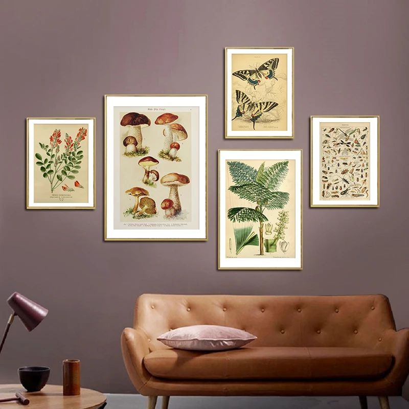 Paleobios Vintage Botanical Flower Insect Butterfly Mushrooms Poster Canvas Print Painting Antique Wall Art Pictures Home Decor
Paleobios Vintage Botanical Flower Insect Butterfly Mushrooms Poster Canvas Print Painting Antique Wall Art Pictures Home Decor
