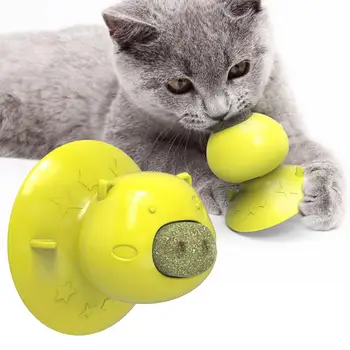 Cat Catnip Toys Cat Toothbrush Mint Licking Nutrition Gel Ball Toy Licking Molar Suction Cup Dog Chew-Toys katten
Cat Catnip Toys Cat Toothbrush Mint Licking Nutrition Gel Ball Toy Licking Molar Suction Cup Dog Chew-Toys katten