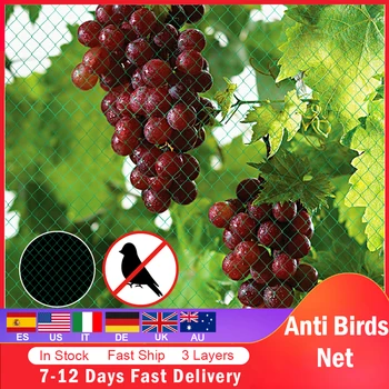 Vegetables Net Protection Crops Flower Garden Mesh Protect Net Pest Control PE Anti Bird Netting Pond Fruit Tree
Vegetables Net Protection Crops Flower Garden Mesh Protect Net Pest Control PE Anti Bird Netting Pond Fruit Tree