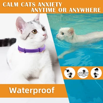 Dog Collar Anti Flea Mosquitoes Insect Waterproof Herbal Pet Collar 8 Months Protection Dog Accessoriesfor Cat
Dog Collar Anti Flea Mosquitoes Insect Waterproof Herbal Pet Collar 8 Months Protection Dog Accessoriesfor Cat