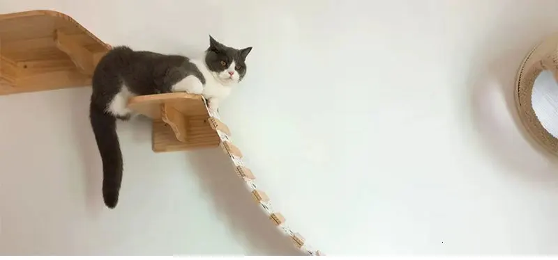 soft-ladder_19