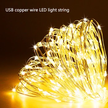 LED Fairy Light String USB copper wire lamp Festival Decoration Light LED light string Celebration Party decoration string light
LED Fairy Light String USB copper wire lamp Festival Decoration Light LED light string Celebration Party decoration string light