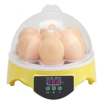 Egg Incubator 7 Eggs Intelligent Home Chickens Ducks Full Automatic Intelligent Temperature Control Incubator Brooder Tools
Egg Incubator 7 Eggs Intelligent Home Chickens Ducks Full Automatic Intelligent Temperature Control Incubator Brooder Tools