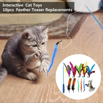 11Pcs Cat Toy Interactive Feather Wand Retractable Fishing Pole Feather With Bell Teaser Pet Traing Exerciser Tool Pet Supplies
11Pcs Cat Toy Interactive Feather Wand Retractable Fishing Pole Feather With Bell Teaser Pet Traing Exerciser Tool Pet Supplies