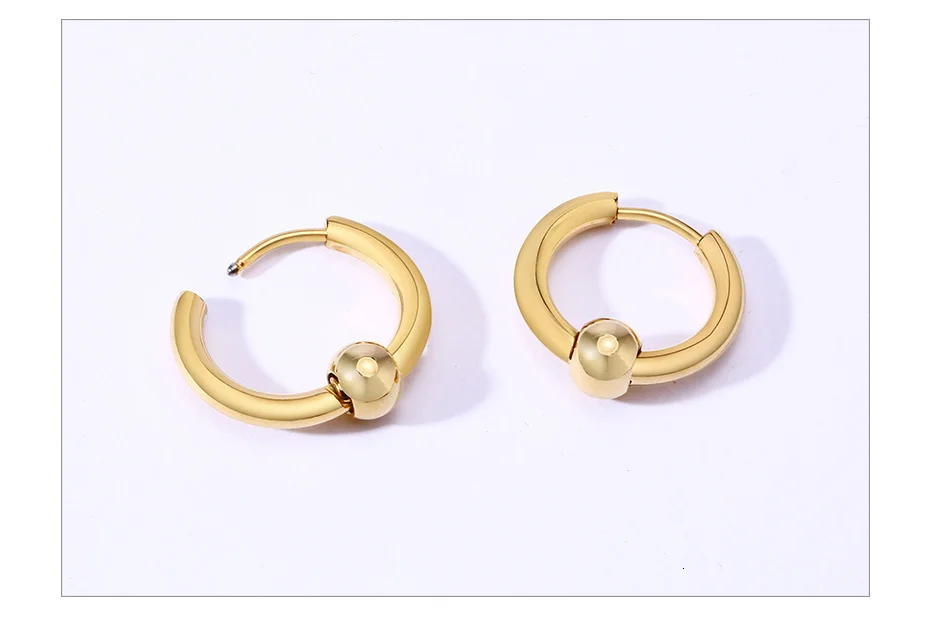 Cycolinks Hoop Earrings