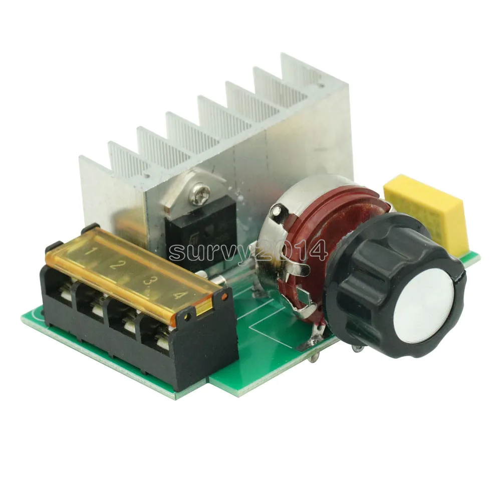 4000W 0-220V AC SCR Electric Voltage Regulator Motor Speed Controller Dimmers Dimming Speed With Temperature Insurance
4000W 0-220V AC SCR Electric Voltage Regulator Motor Speed Controller Dimmers Dimming Speed With Temperature Insurance