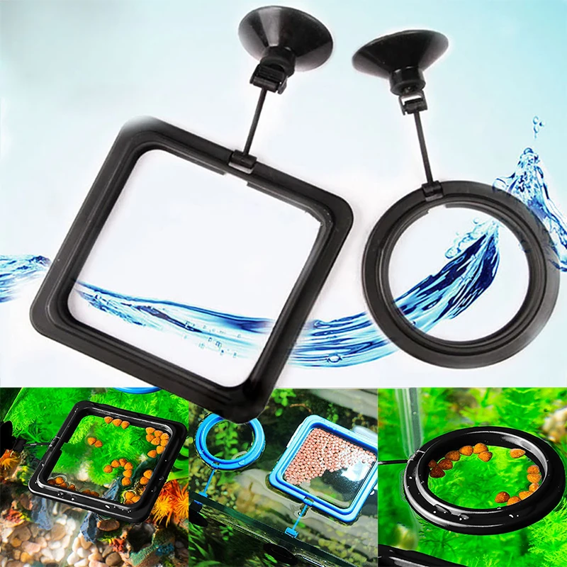Aquarium Feeding Ring Fish Tank Station Floating Food Tray Feeder Square Circle Accessory Water Plant Buoyancy Suction Cup
Aquarium Feeding Ring Fish Tank Station Floating Food Tray Feeder Square Circle Accessory Water Plant Buoyancy Suction Cup