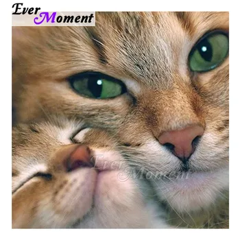 Ever Moment Diamond Painting Full Square Drill Mosaic Green Eyes Cats Sleeping Picture Of Rhinestone Diamond Embroidery 3F2167
Ever Moment Diamond Painting Full Square Drill Mosaic Green Eyes Cats Sleeping Picture Of Rhinestone Diamond Embroidery 3F2167