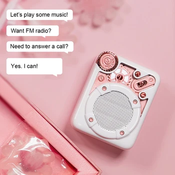 Portable Bluetooth Wireless Speaker with FM Radio and Support 32G Micro TF Card with Gift Package for Girl
Portable Bluetooth Wireless Speaker with FM Radio and Support 32G Micro TF Card with Gift Package for Girl