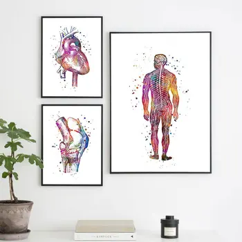 Abstract Anatomy Poster Nordic Canvas Wall Art Print Watercolor Meridian Painting for Medical Decor Black Metal
Abstract Anatomy Poster Nordic Canvas Wall Art Print Watercolor Meridian Painting for Medical Decor Black Metal