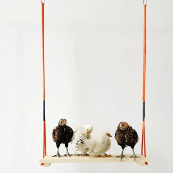 Chicken Ladder Swing Perch Wood Hanging Stand Handmade Coop Chicks Chew Toys 667B
Chicken Ladder Swing Perch Wood Hanging Stand Handmade Coop Chicks Chew Toys 667B