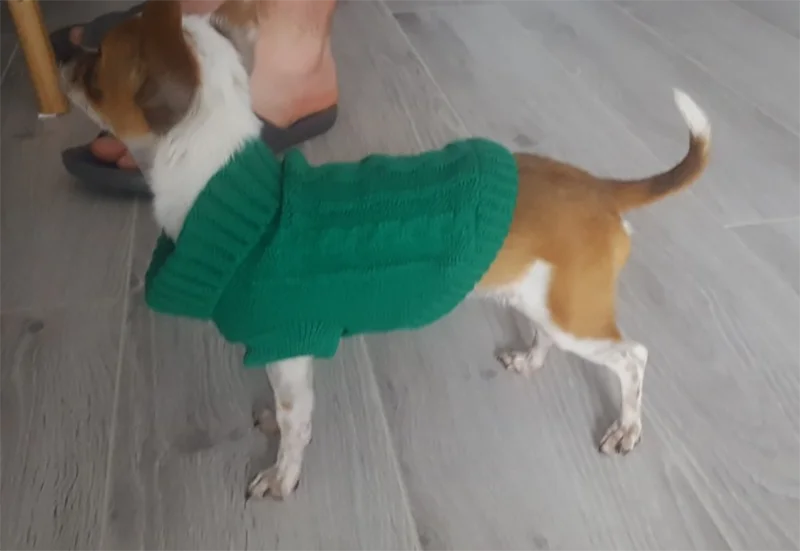 Dog Sweaters Winter Pet Clothes for Small Dogs Warm Sweater Coat Outfit. Dog Sweaters Winter Pet Clothes for Small Dogs Warm Sweater Coat Outfit.
