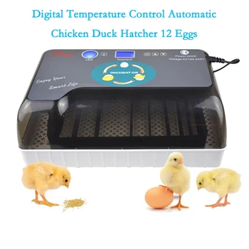 Full Automatic Incubator Brooder Farm Hatchery Machine 12 Eggs Hatcher Chicken Automatic Egg Incubator Goose Bird Quail Brooder
Full Automatic Incubator Brooder Farm Hatchery Machine 12 Eggs Hatcher Chicken Automatic Egg Incubator Goose Bird Quail Brooder