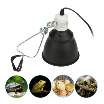 Climbing Pet Heating Lamp Reptile Lampshade Turtle Back Light Tortoise Lighting
Climbing Pet Heating Lamp Reptile Lampshade Turtle Back Light Tortoise Lighting