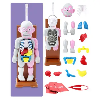 Children's educational toy mannequin puzzle learning human organs NEW
Children's educational toy mannequin puzzle learning human organs NEW
