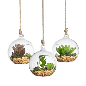 6 Pcs 100mm Clear Ball Shaped Hanging Glass Vases Flat Base Design Ball Shape Flower Plants Terrarium Vase Containers Landscape
6 Pcs 100mm Clear Ball Shaped Hanging Glass Vases Flat Base Design Ball Shape Flower Plants Terrarium Vase Containers Landscape