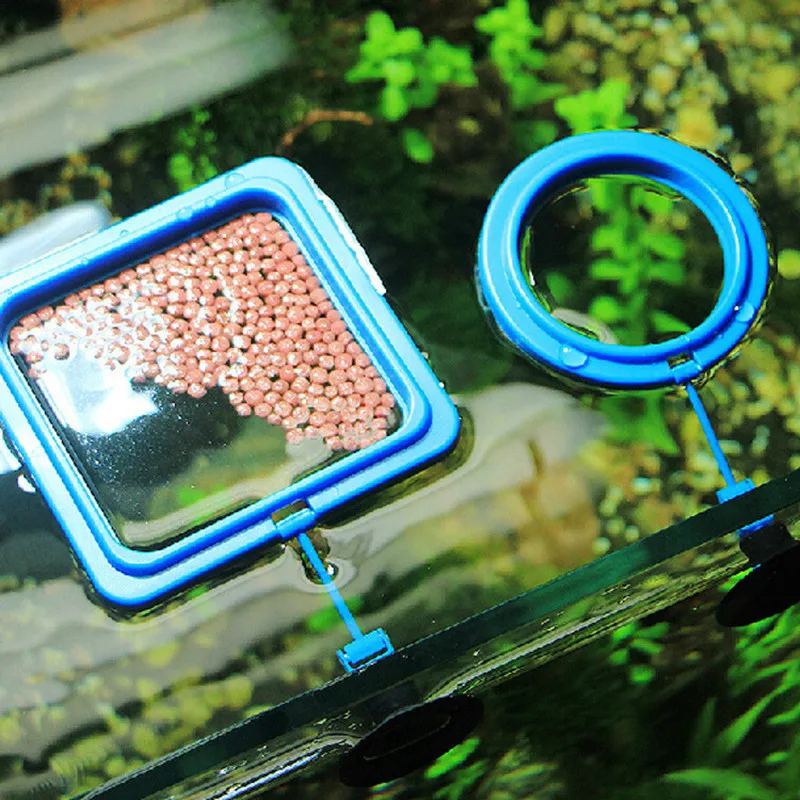 1pss New Aquarium Fish Tank Feeding Ring Floating Food Tray Feeder with Suction Cup Aquarium Feeding ring
1pss New Aquarium Fish Tank Feeding Ring Floating Food Tray Feeder with Suction Cup Aquarium Feeding ring