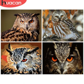 HUACAN Paint By Number Animals Owl Handpainted Gift Drawing Acrylic Home Decor Picture By Numbers Wall Art
HUACAN Paint By Number Animals Owl Handpainted Gift Drawing Acrylic Home Decor Picture By Numbers Wall Art