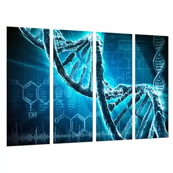 Biology, Science, Chromosome Chain DNA Blue, photo print on wood, modern picture decorative 27037
Biology, Science, Chromosome Chain DNA Blue, photo print on wood, modern picture decorative 27037