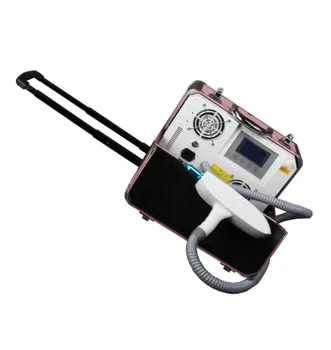 2020 Home CE Approved Tattoo Removal Machine Price / Portable 1064 532nm Q Switched ND Yag Laser 
2020 Home CE Approved Tattoo Removal Machine Price / Portable 1064 532nm Q Switched ND Yag Laser